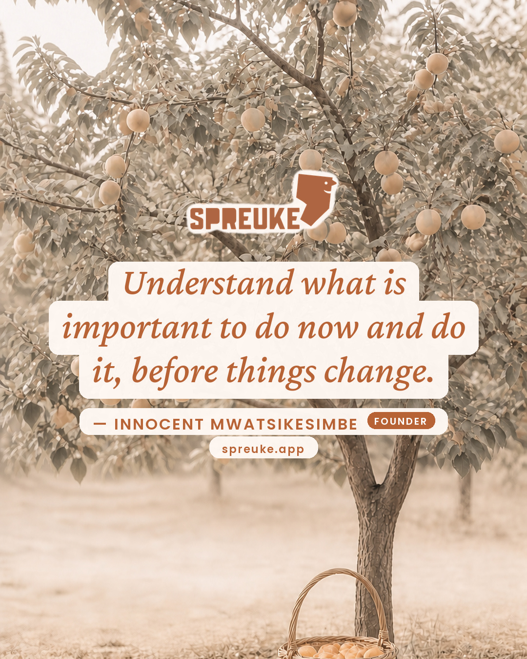 Understand what is important to do now and do it, before…